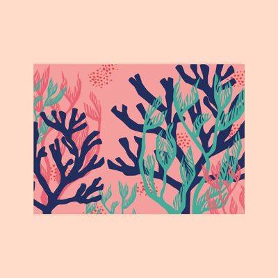 Carte postale "Algues roses"