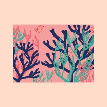 Carte postale "Algues roses" 1