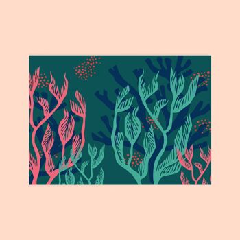 Carte postale "Algues vertes" 1