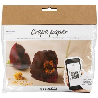 Kit de flores de papel crepé DIY - Anemone