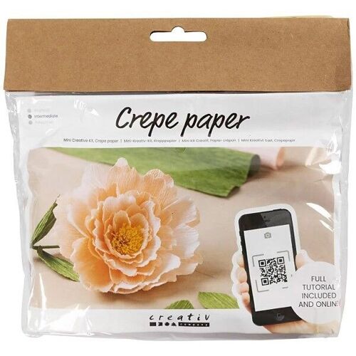 Kit DIY fleurs en papier crépon - Pivoines