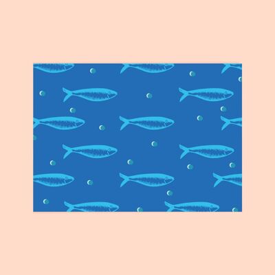 Carte postale "Sardines turquoises"