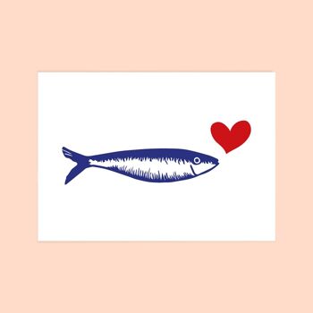 Carte postale " Sardine coeur" 1