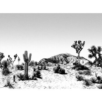 Papier peint Arizona noir et blanc 3