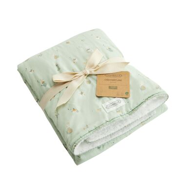 Reversible blanket - Light green