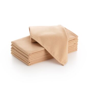 Lot de 6 serviettes en tissu satiné de coton 45x45cm 7