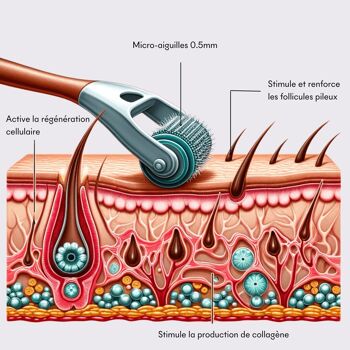 PAV (6 unités + 1 UG Tester) - Dermaroller Capillaire 4