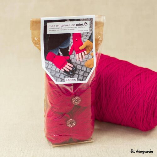Kit à tricoter des mitaines en laine - Bégonia