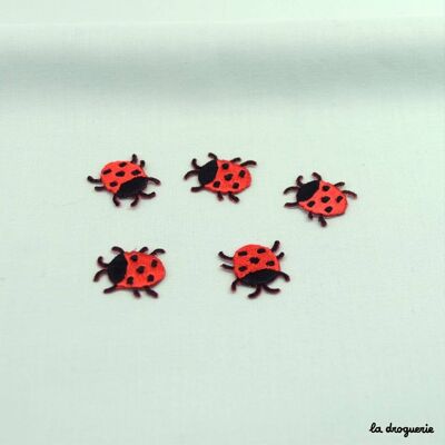 “Ladybug” badge