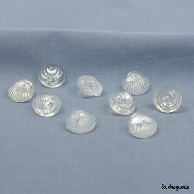 Button "Periwinkle Transparency and Scallop Shell" 18 mm