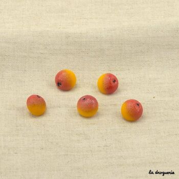 Bouton "Fruit" 15 mm 6