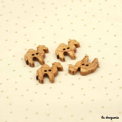 Button "Boxwood Our friends the Dromedary beasts" 22 to 23 mm