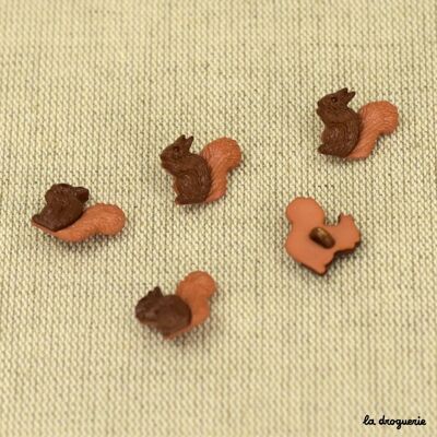 "Bicolor squirrel" button 16 x 14 mm