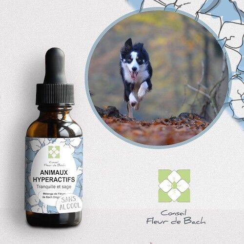 Conseil fleur de Bach® - Fleurs de Bach Animaux Hyperactifs Sans Alcool -30Ml