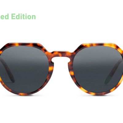 Chobe – Tortoiseshell – SUN