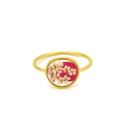 Natürlicher Blumenring Rose Torilis weiß | Blumenohrringe | Foralschmuck | 14-karätiges Gold gefüllt
