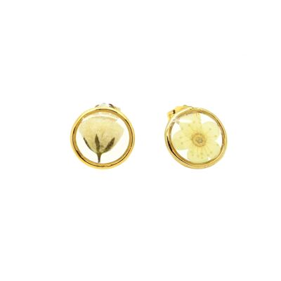 Boucles d'oreilles fleurs naturelles Gypsophile Fleur de prunier |  Boucles d'oreilles florales | Bijou floral | Or gold filled 14k