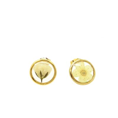 Boucles d'oreilles fleurs naturelles Gypsophile Fleur de prunier |  Boucles d'oreilles florales | Bijou floral | Or gold filled 14k
