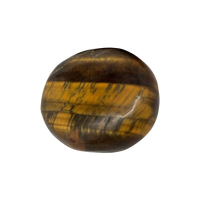 Ojo de Tigre - Cristal de Piedra de Palma - Ovalado - 5-7cm