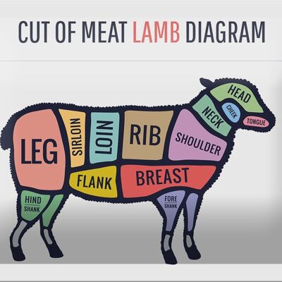 Blechschild Metzgerei 18x12cm Lamm cuts of meat lamb Dekoration