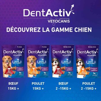 Lot de 8 x 7 Batônnets DentActiv, Hygiène Bucco-Dentaire pour Chien 15kg + 6