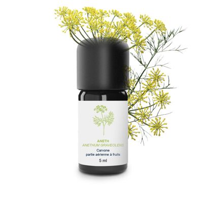 Dill Essential Oil (5 ml) | Organic, Artisanal, Made In France
