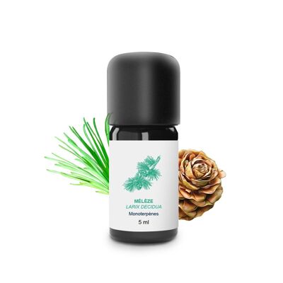 Aceite esencial de Alerce (5 ml) | Orgánico, Artesanal, Hecho En Francia