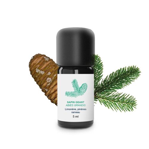 Huile Essentielle Sapin géant (5 ml) | Bio, Artisanal, Made In France