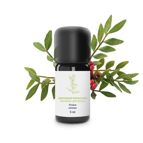 Huile Essentielle Lentisque pistachier (5 ml) | Bio, Artisanal, Made In France