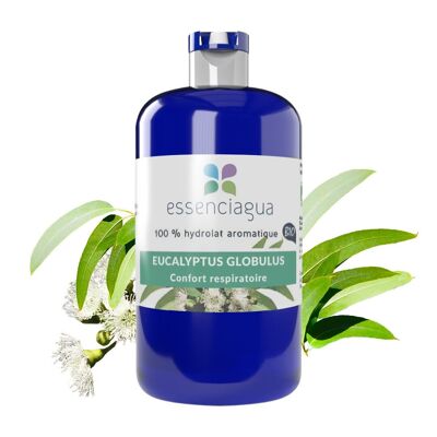 Eukalyptus-Globulus-Hydrosol (250 ml) | Biologisch, handwerklich, hergestellt in Frankreich