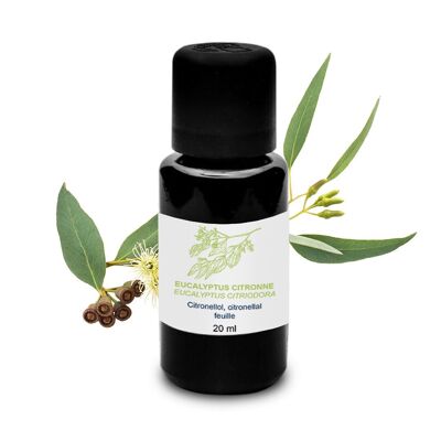 Lemon Eucalyptus Essential Oil (20 ml) | Organic, Artisanal, Made In France