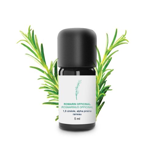 Huile Essentielle Romarin Officinal (5 ml) | Bio, Artisanal, Made In France