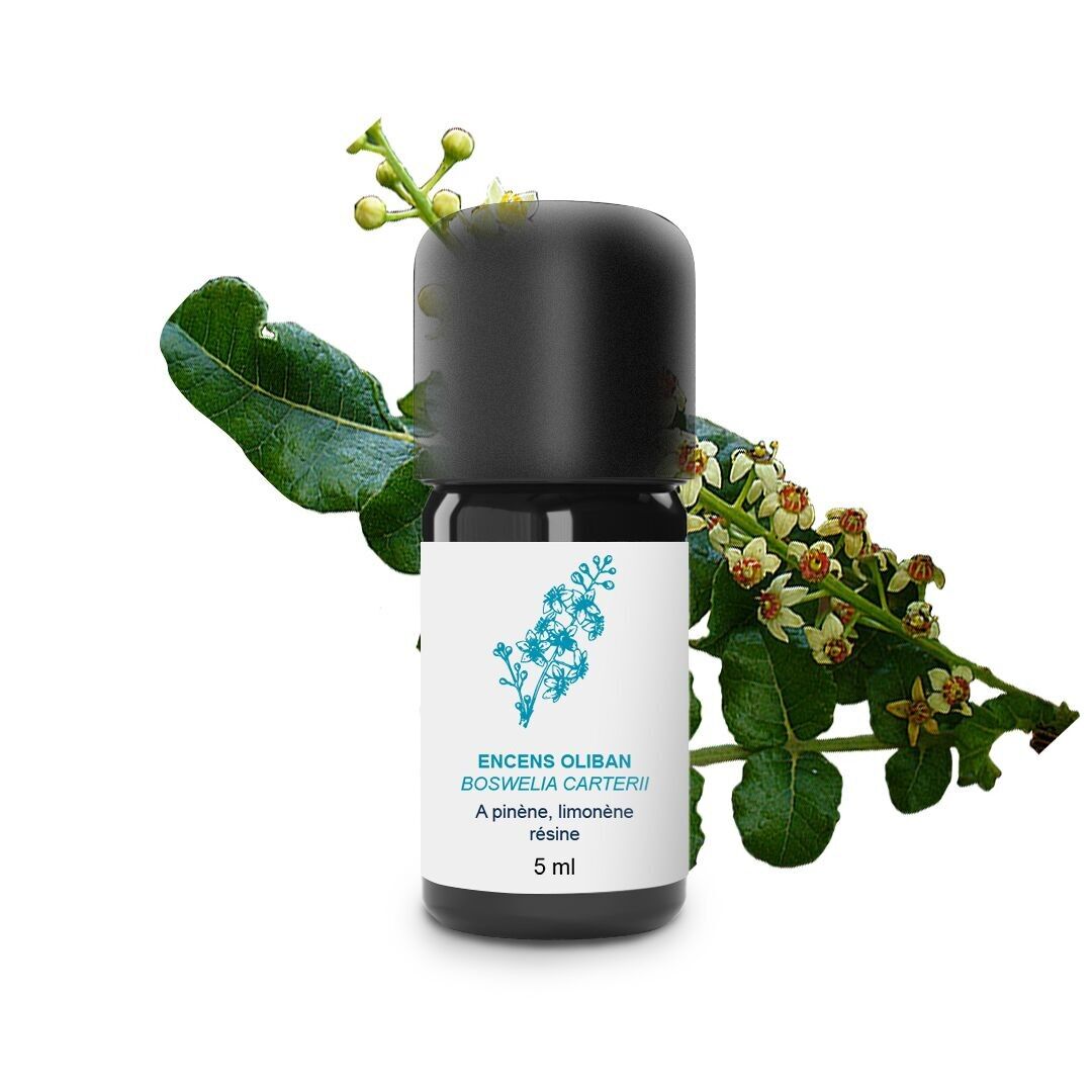 Olio essenziale di incenso olibano (5 ml) | Biologico, Artigianale, Made In France