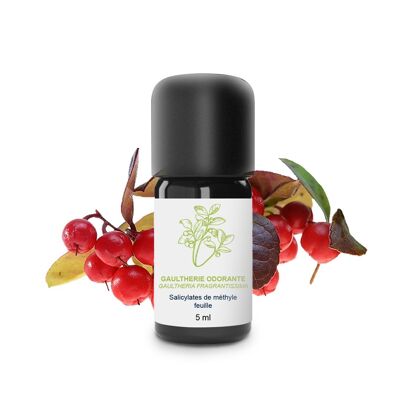 Fragrant Wintergreen Essential Oil (5 ml) | Organic, Artisanal, Made In France