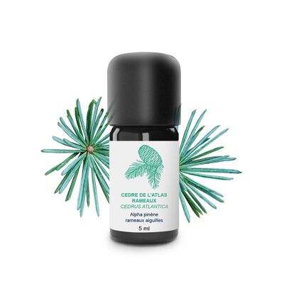 Aceite esencial de cedro del Atlas (5 ml) | Orgánico, Artesanal, Hecho En Francia