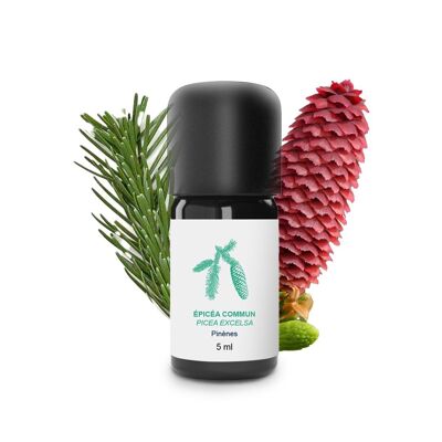 Common Spruce Essential Oil (5 ml) | Organic, Artisanal, Made In France