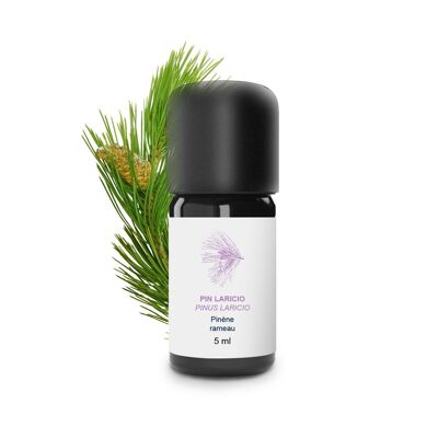 Larichio Pine Essential Oil (5 ml) | Organic, Artisanal, Made In France