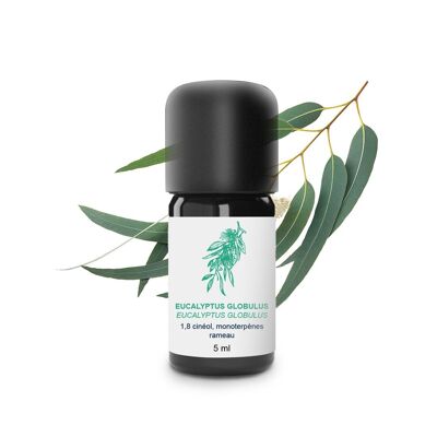 Eucalyptus globulus Essential Oil (5 ml) | Organic, Artisanal, Made In France