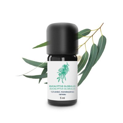 Huile Essentielle Eucalyptus globulus (5 ml) | Bio, Artisanal, Made In France