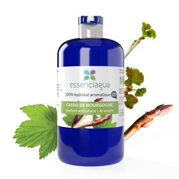 Hydrolat Cassis de Bourgogne (250 ml) | Bio, Artisanal, Made In France 1