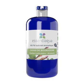 Hydrolat Cassis de Bourgogne (250 ml) | Bio, Artisanal, Made In France 2