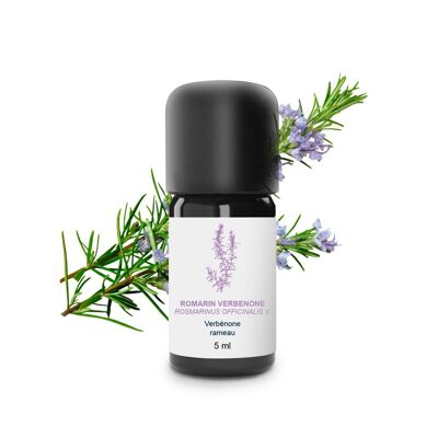 Rosemary Verbenone Essential Oil (5 ml) | Organic, Artisanal, Made In France
