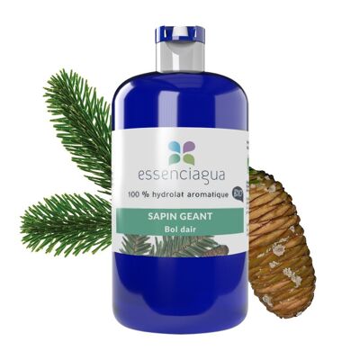 Hydrolat Sapin géant (250 ml) | Bio, Artisanal, Made In France