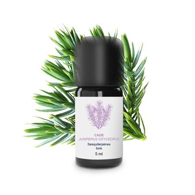 Aceite esencial de Cade (5 ml) | Orgánico, Artesanal, Hecho En Francia