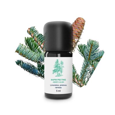 Olio Essenziale di Abete Bianco (5 ml) | Biologico, Artigianale, Made In France