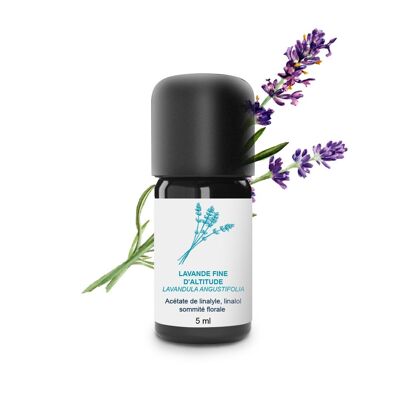 Fine Altitude Lavender Essential Oil (5 ml) | Organic, Artisanal, Made In France