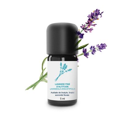 Aceite esencial de lavanda de altitud fina (5 ml) | Orgánico, Artesanal, Hecho En Francia