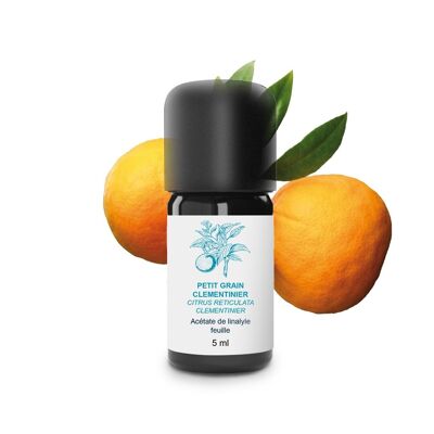 Olio essenziale di clementina a grani piccoli (5 ml) | Biologico, Artigianale, Made In France