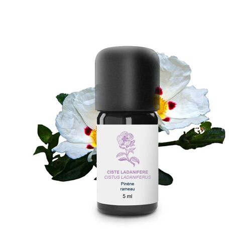 Huile Essentielle Ciste (5 ml) | Bio, Artisanal, Made In France