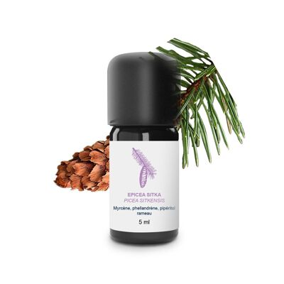 Spruce Sitka Essential Oil (5 ml) | Organic, Artisanal, Made In France